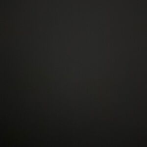 Meet your Posher, Rose